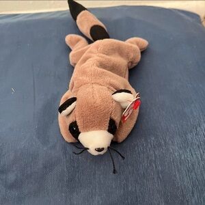Ty Beanie Babies Ringo The Raccoon Plush